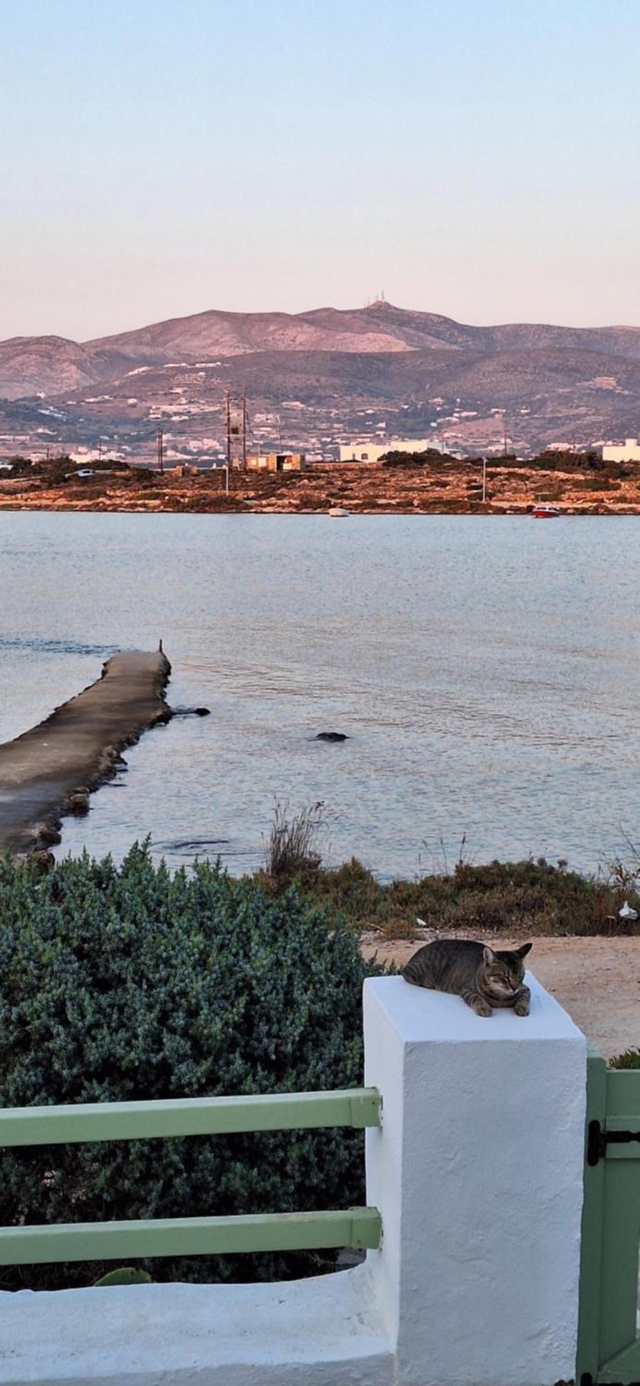 Mike'Splace Antiparos Town Екстериор снимка